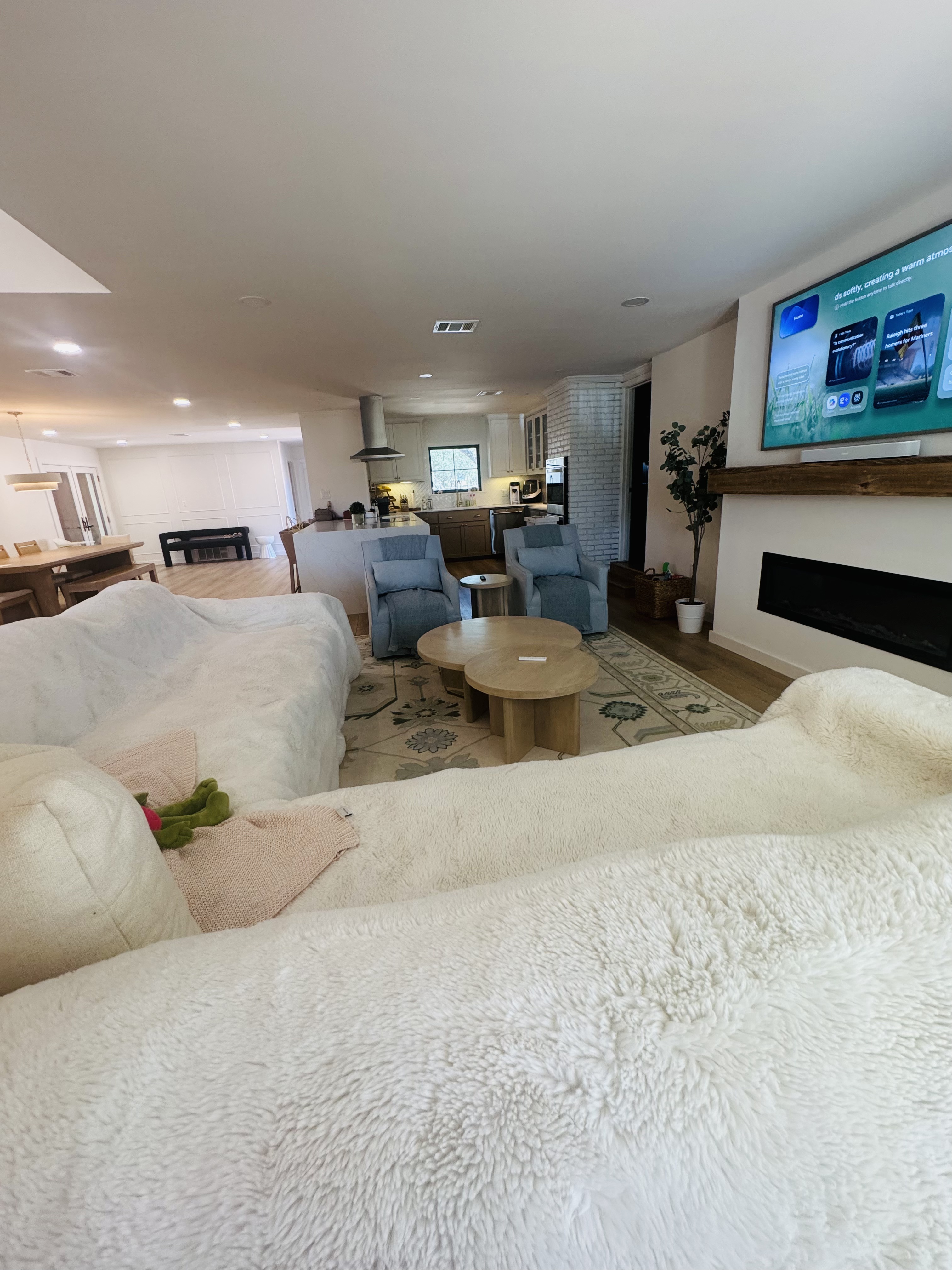Casitas cleaning project 24